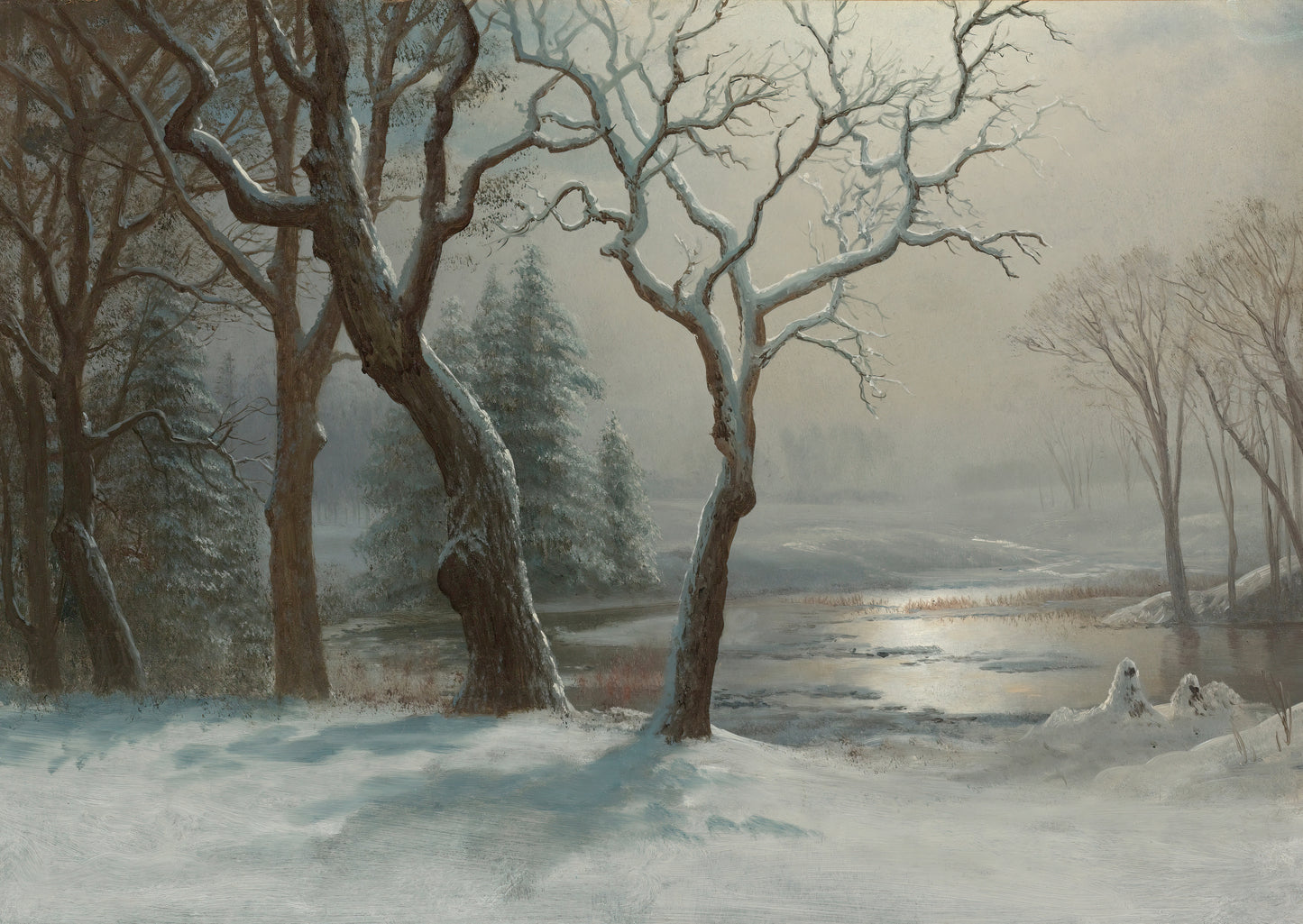 Winter Landscape