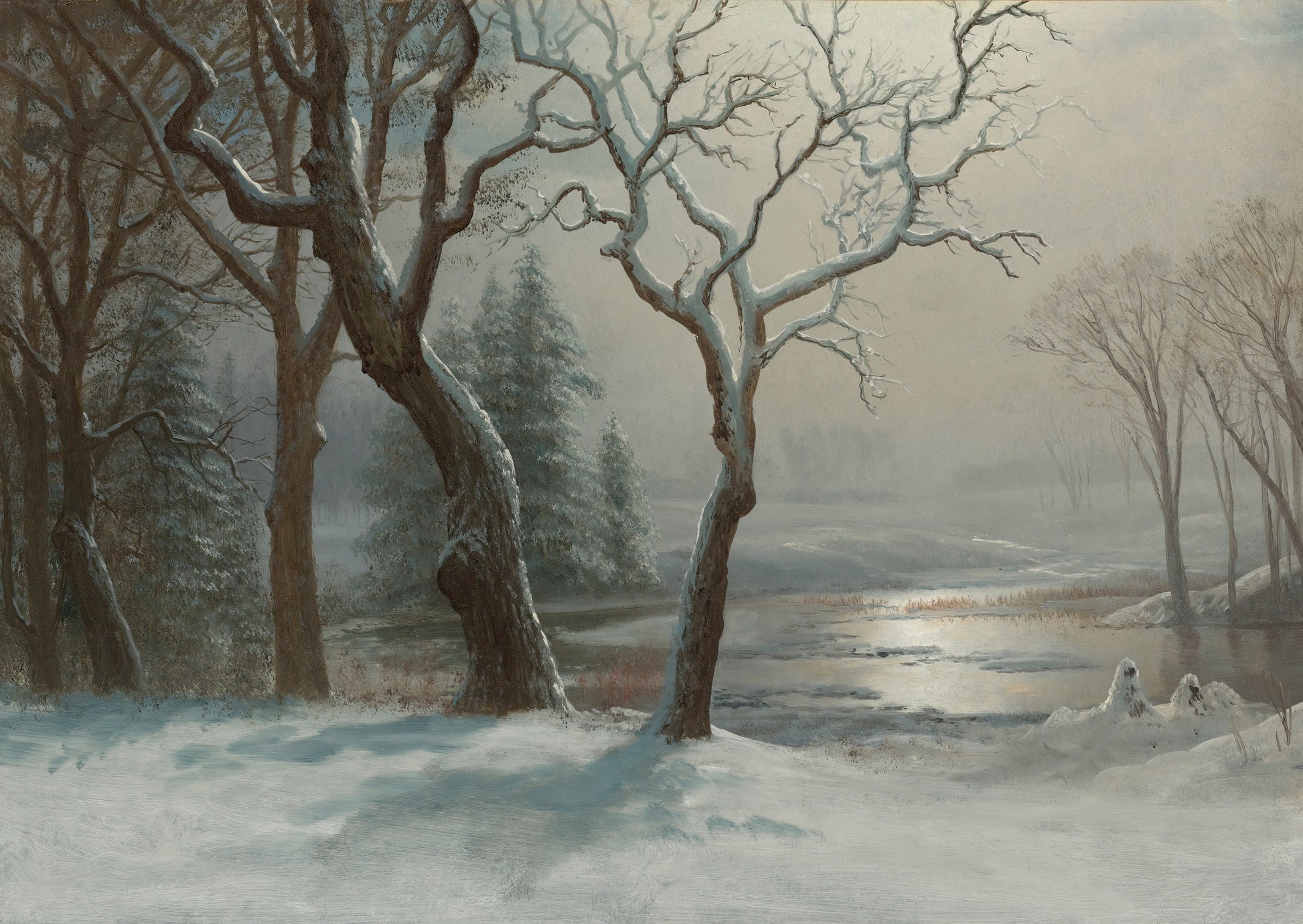 Winter Landscape