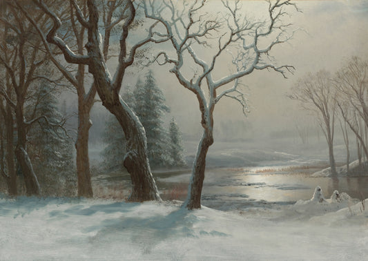 Winter Landscape