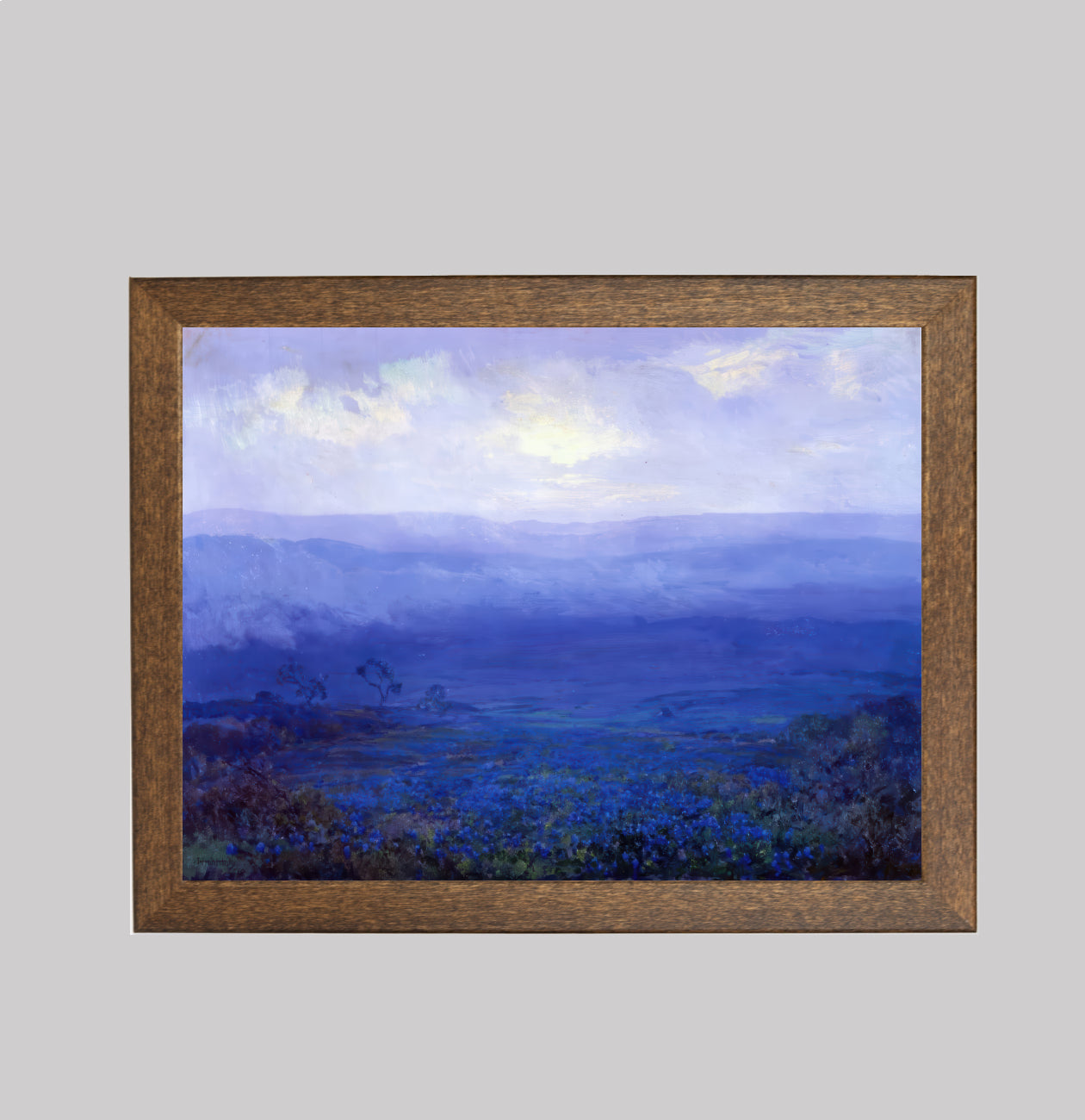 Bluebonnets in Texas