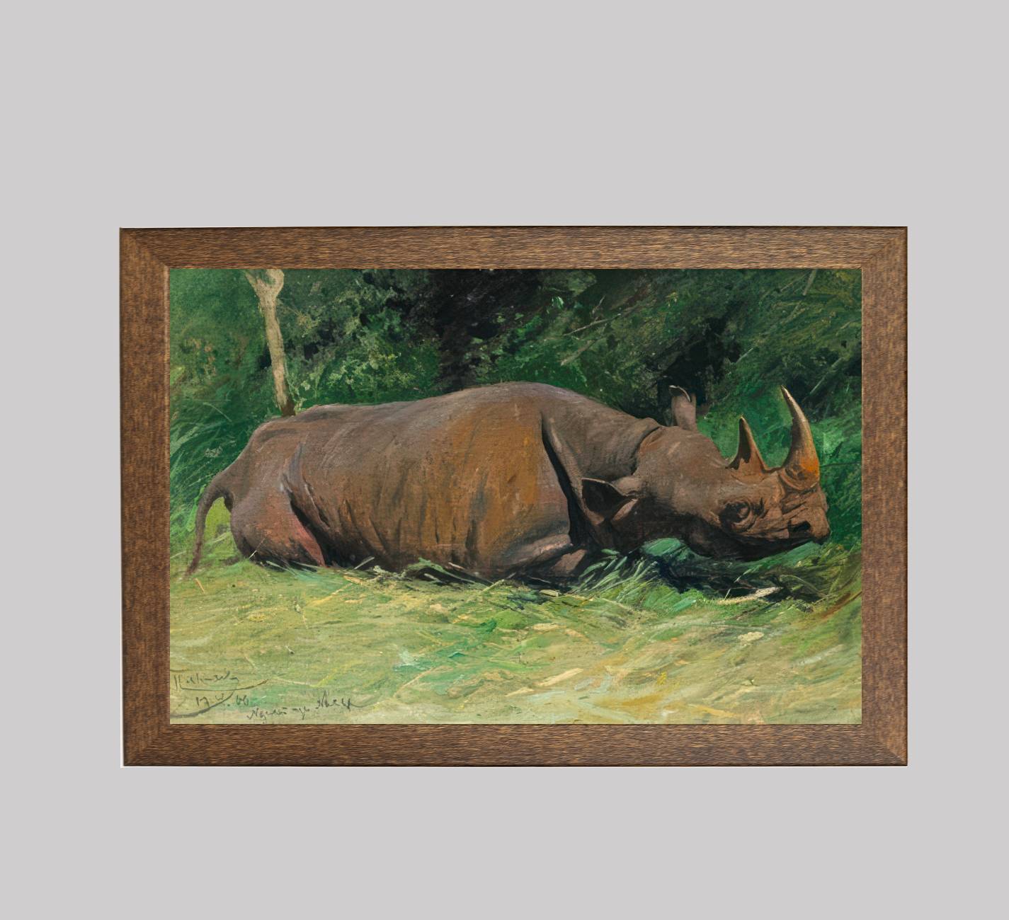 Rhino