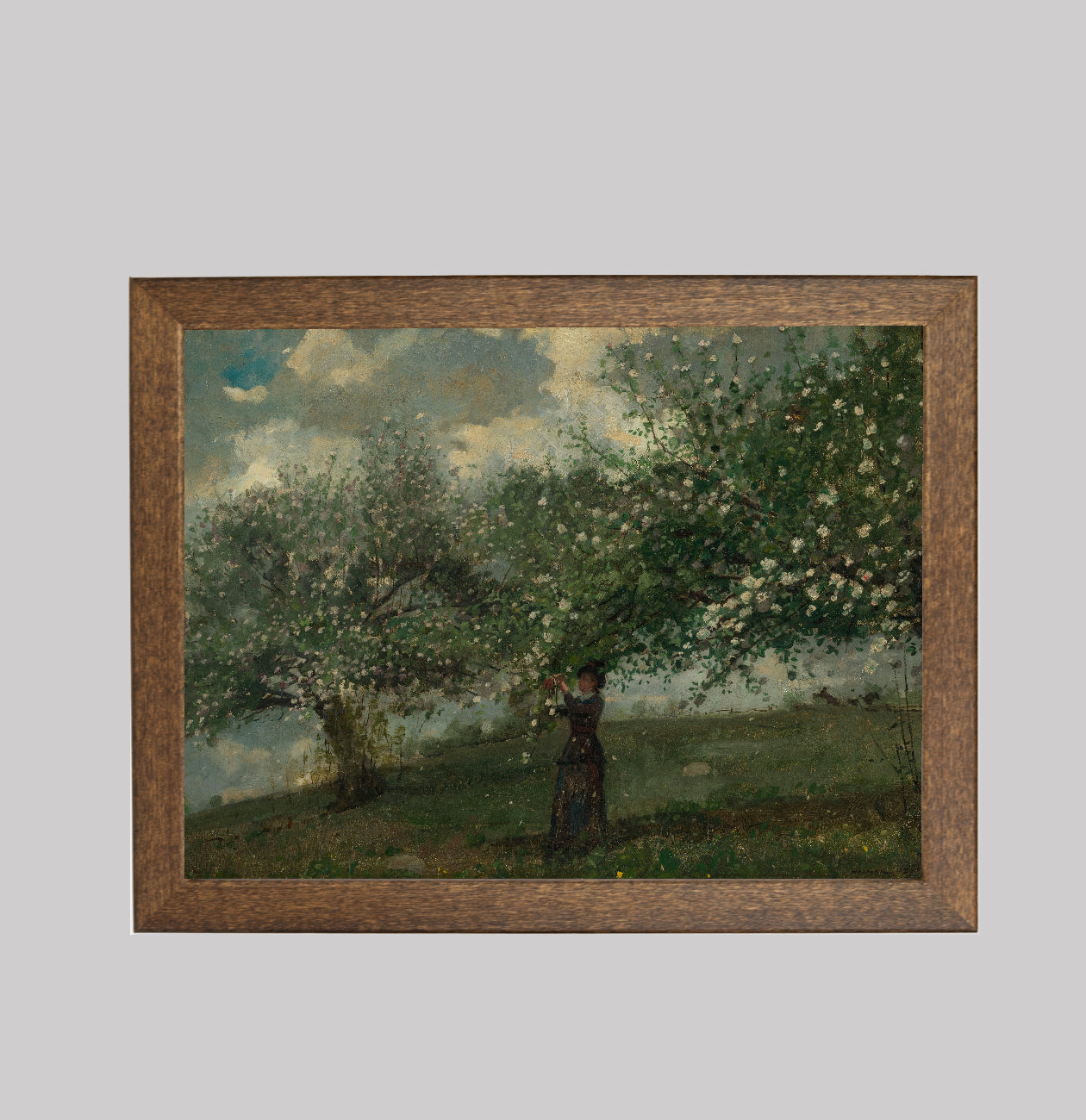 Girl Picking Apple Blossoms
