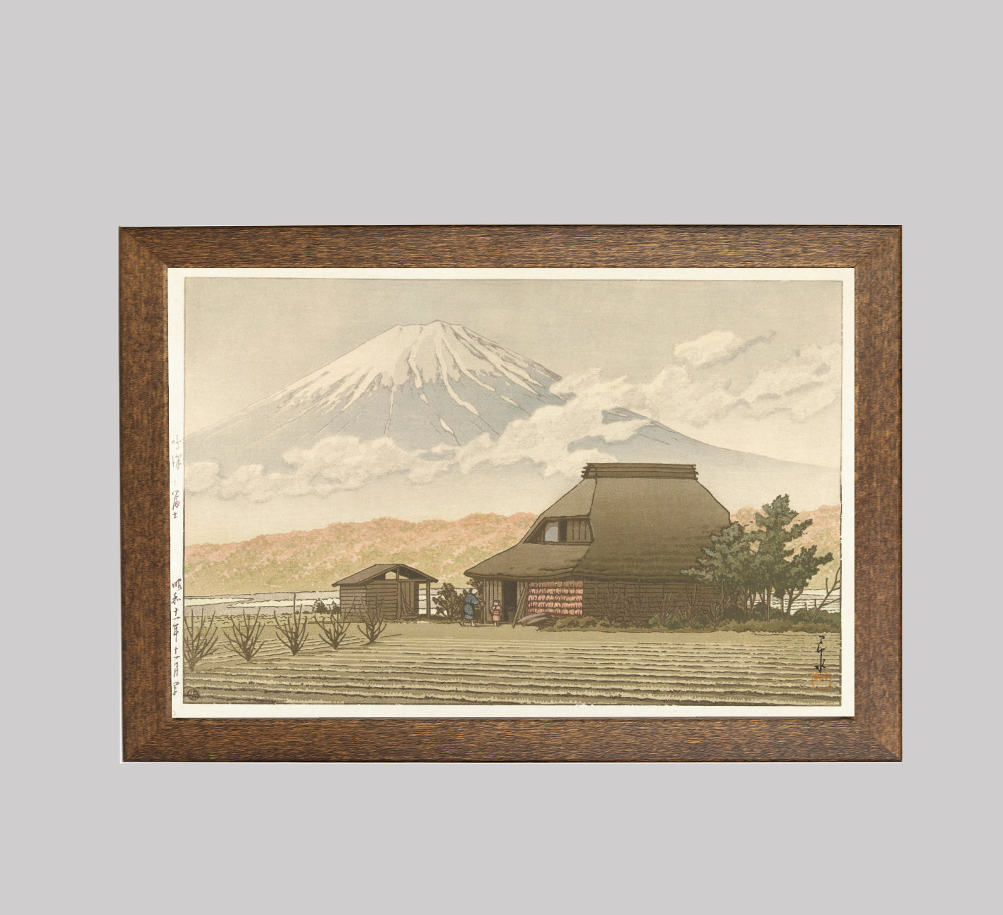 Fuji from the Village of Narusawa