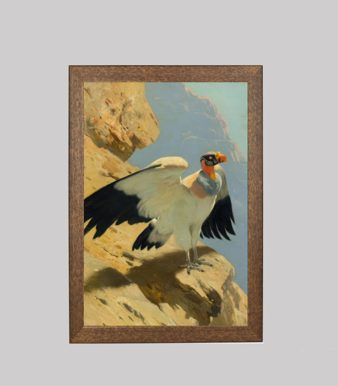 King Vulture