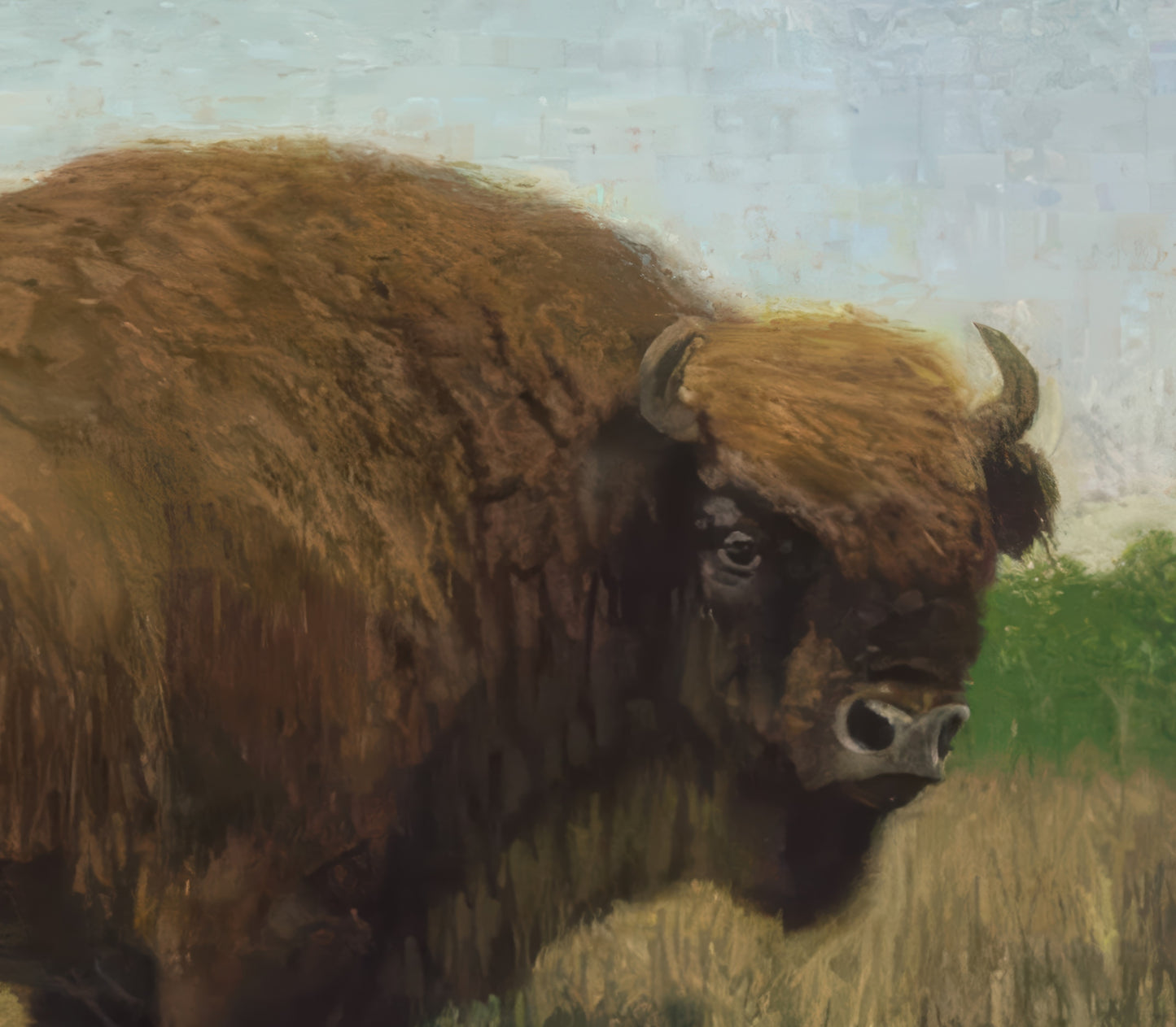 A Bison