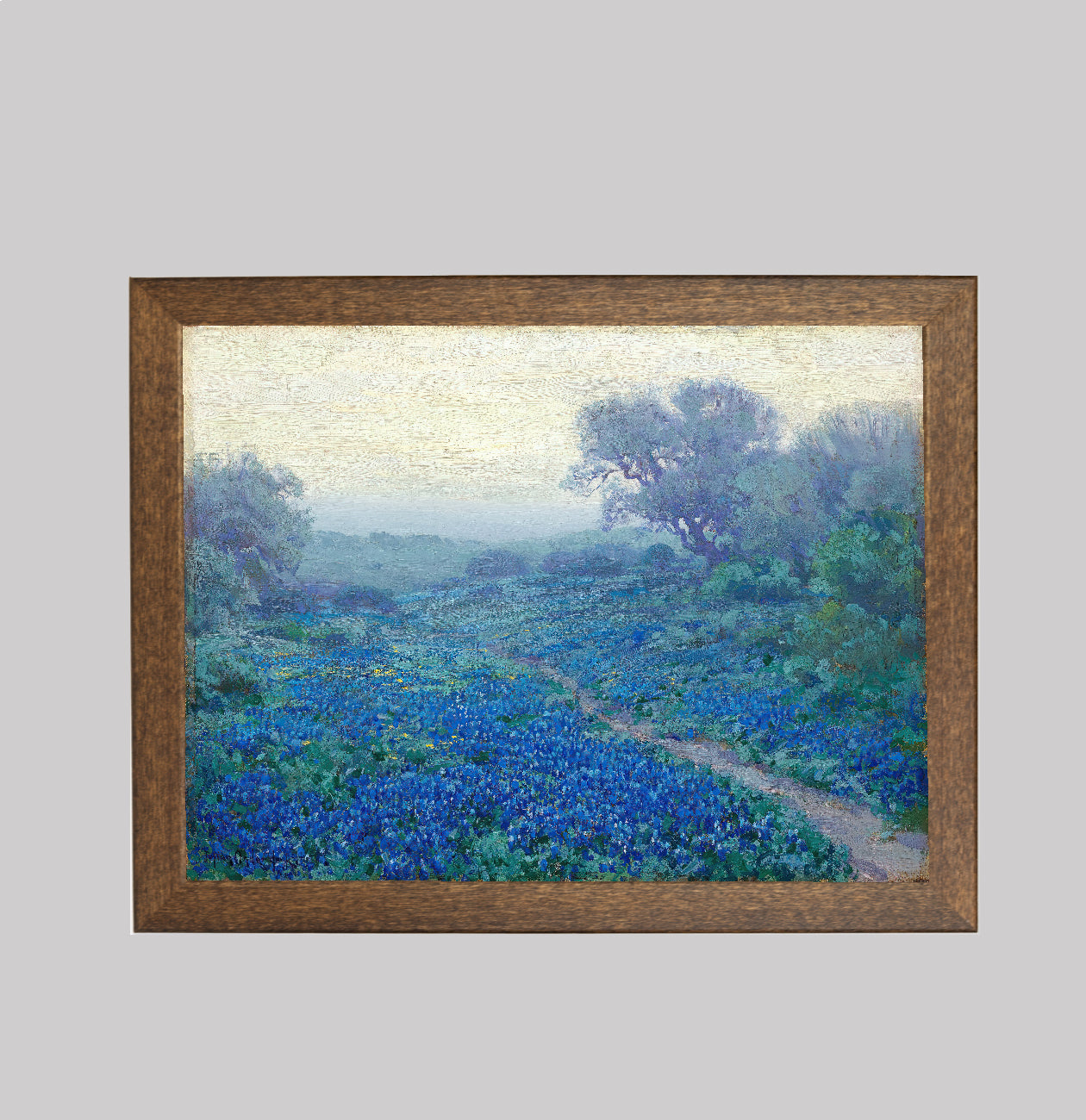 Bluebonnets at Sunrise