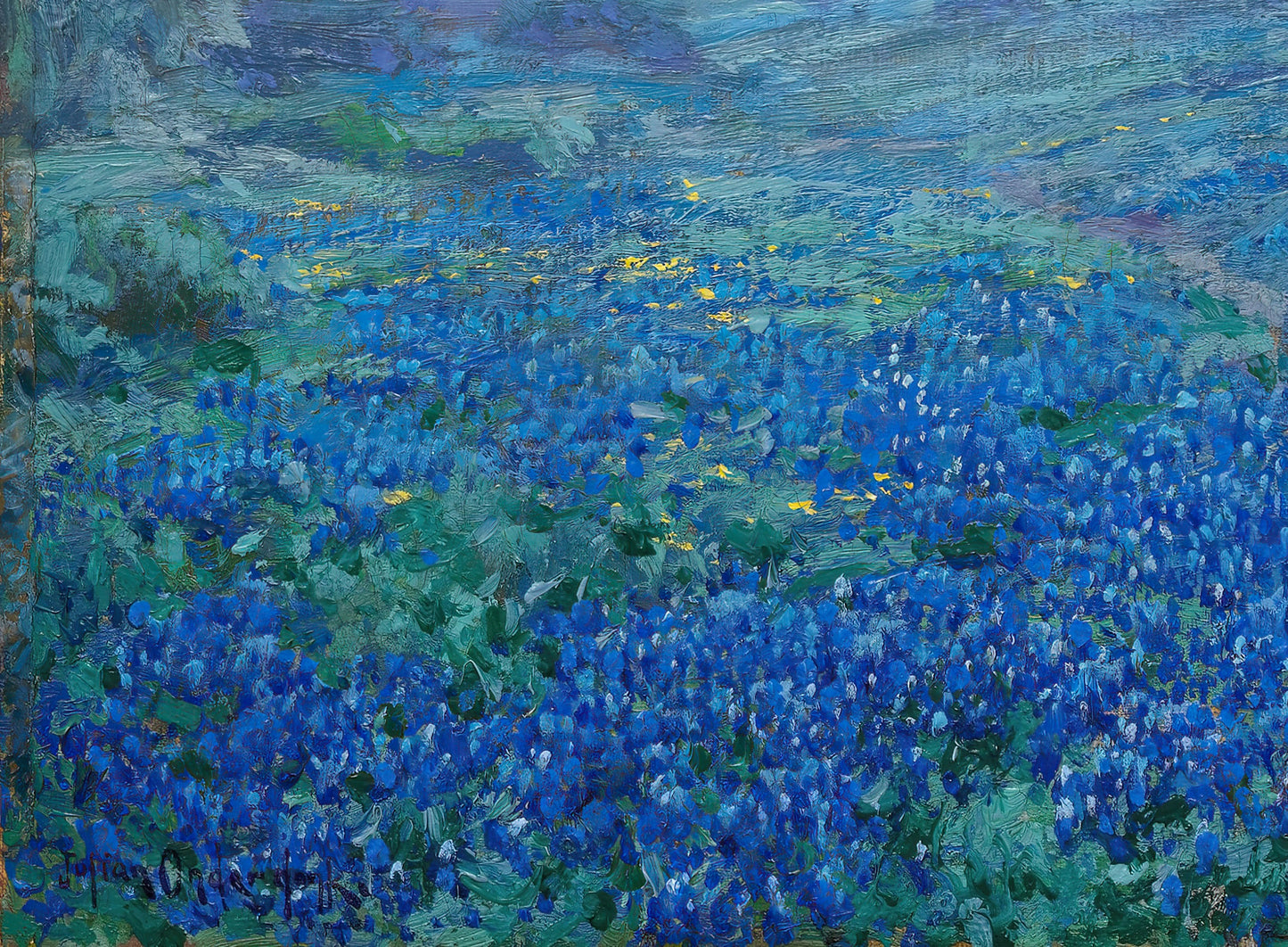 Bluebonnets at Sunrise