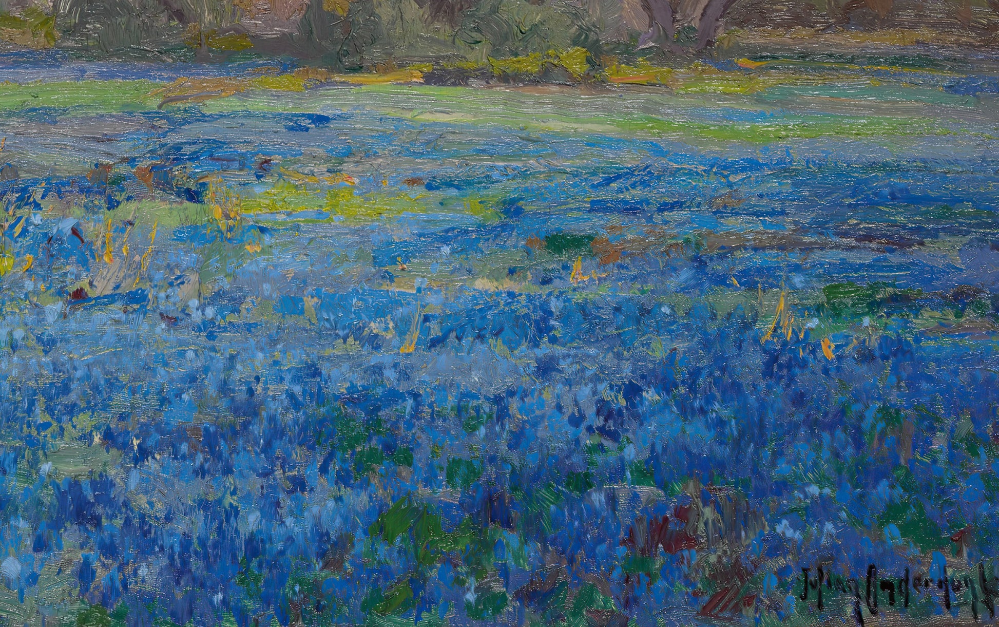 A Field of Blue Bonnets