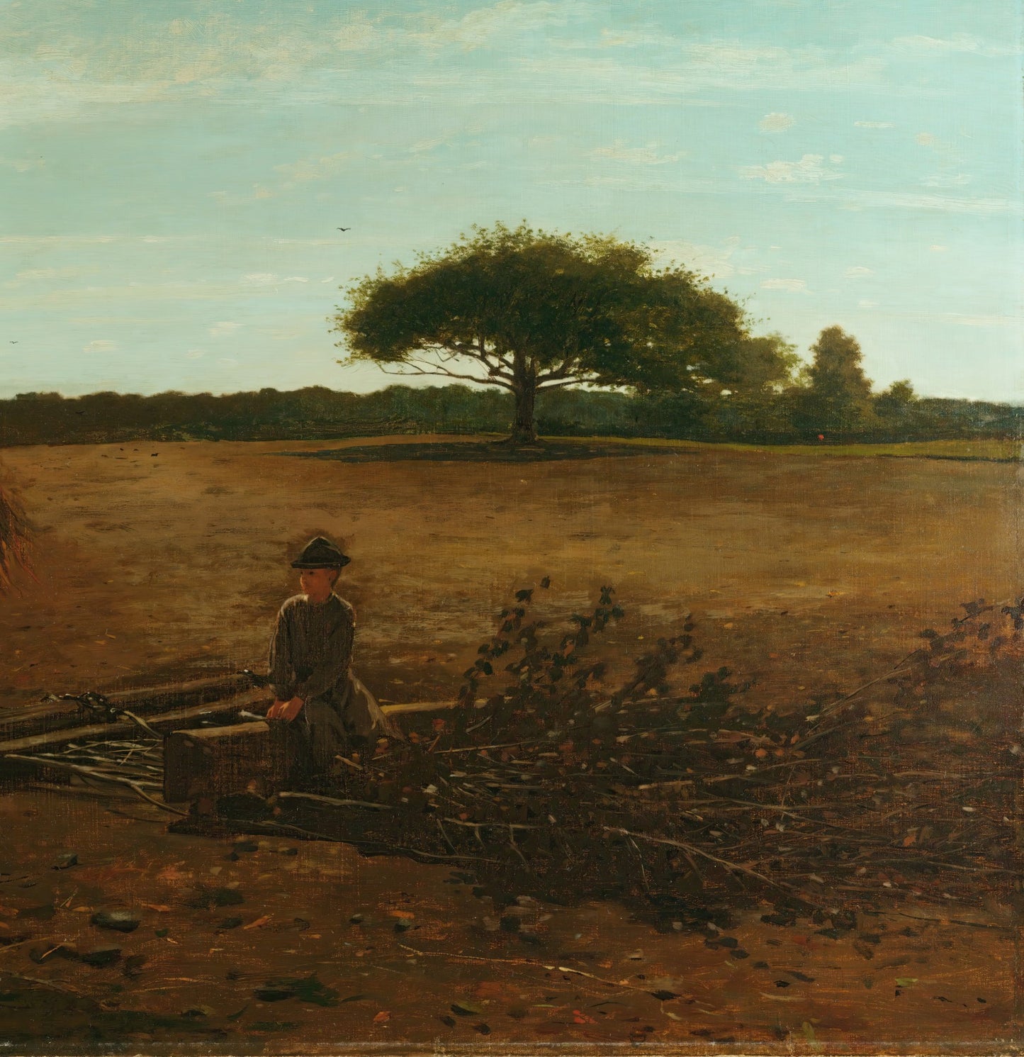 The Brush Harrow
