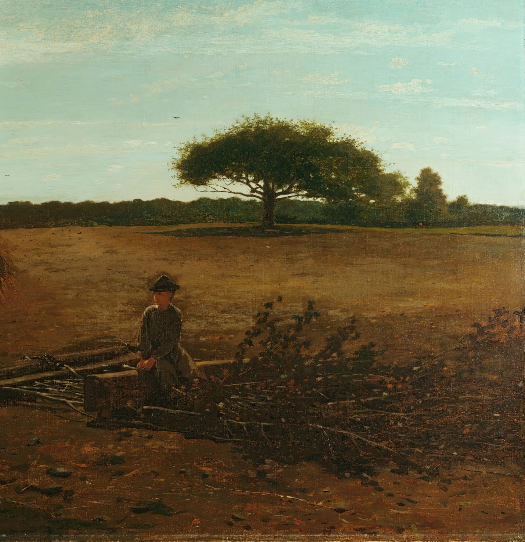 The Brush Harrow