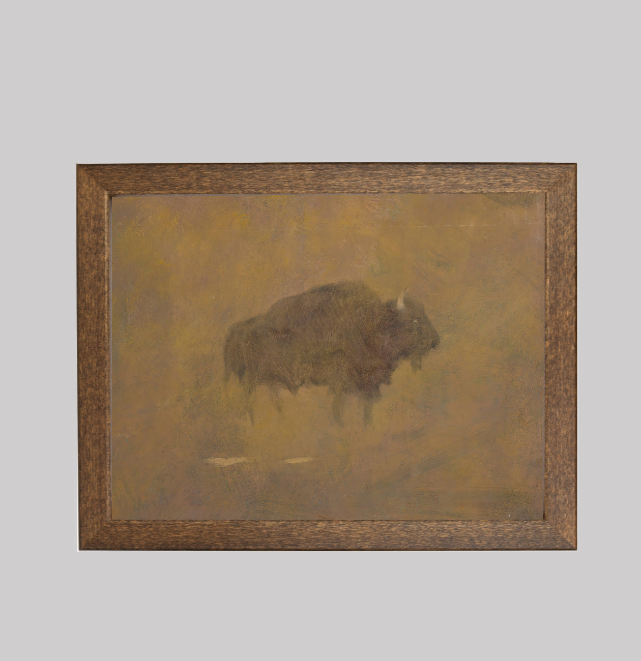 Buffalo in Sandstorm