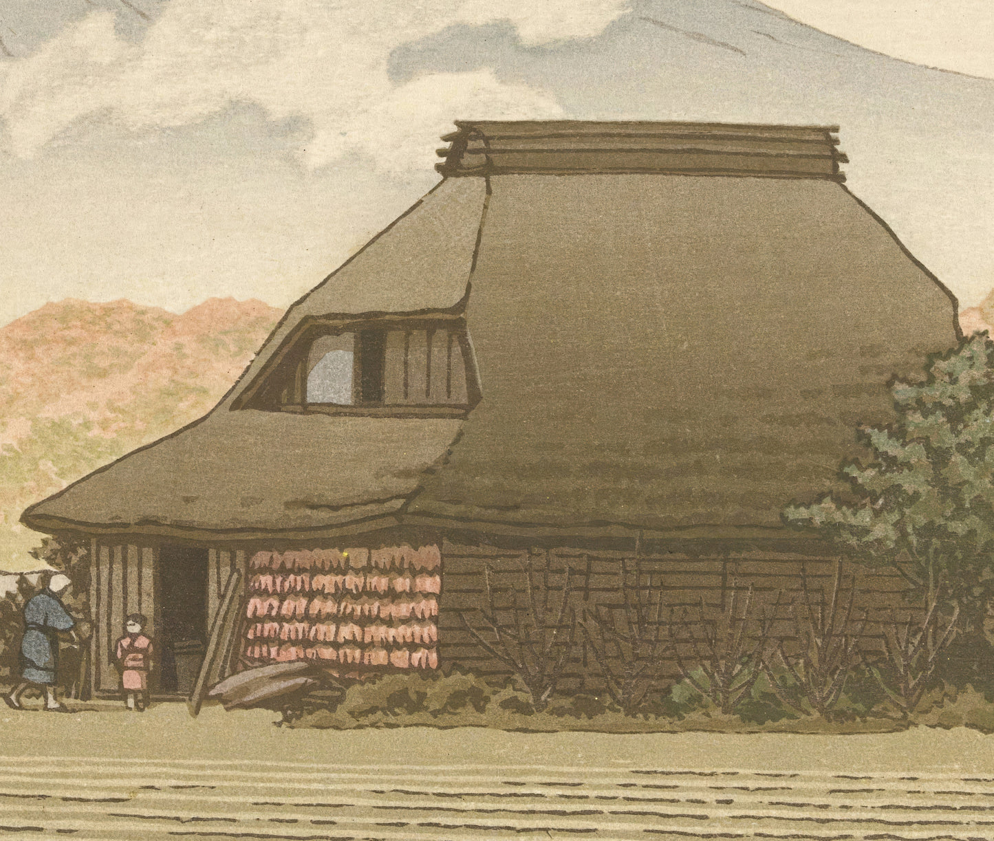 Fuji from the Village of Narusawa