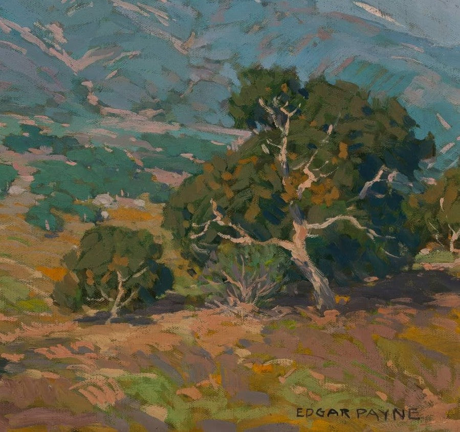 California Foothills with San Gabriel Mountains in the Distance