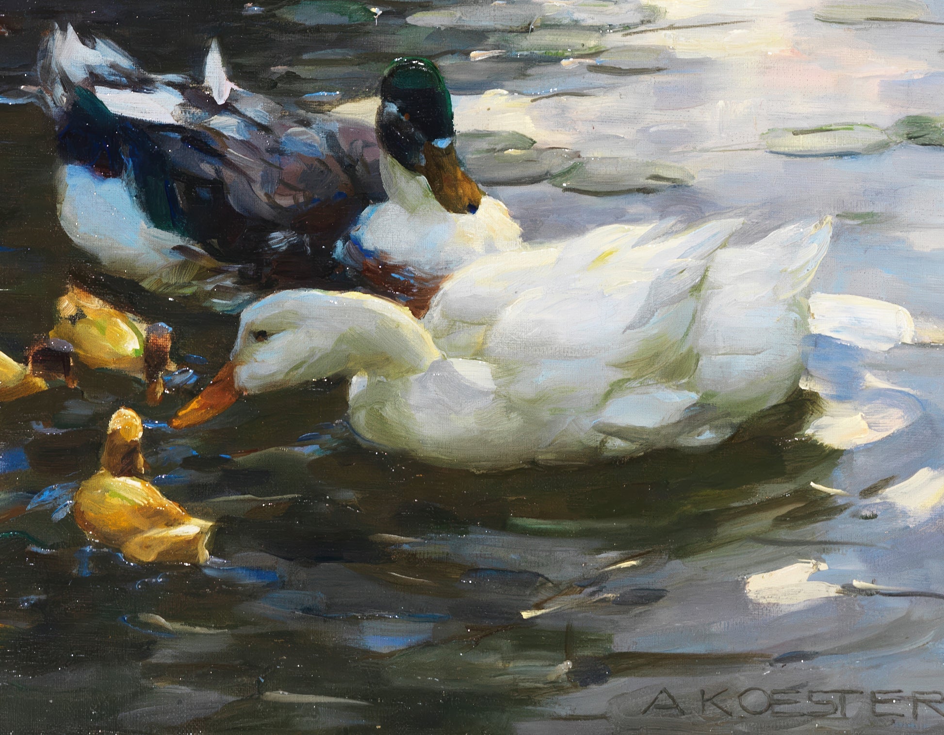 Ducks with Chicks in the Water