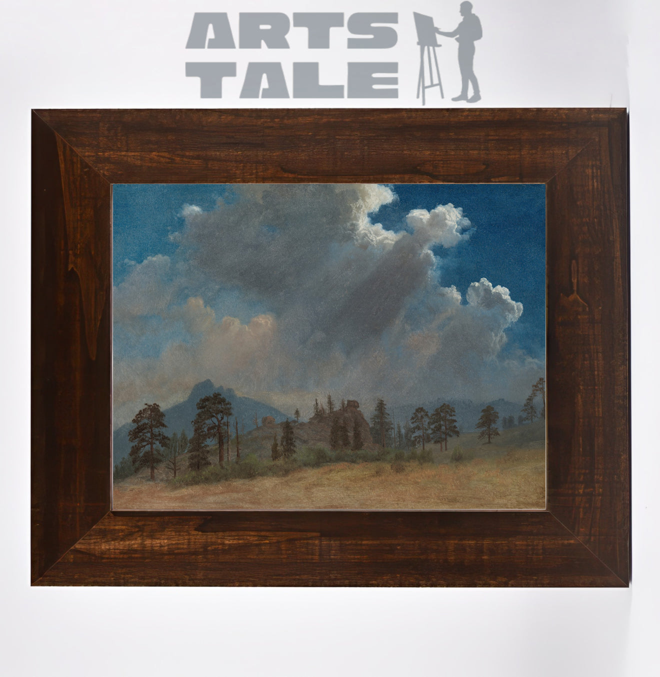 Fir Trees and Storm Clouds