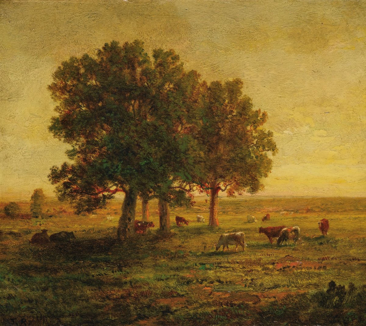 Cows Beneath the Oaks