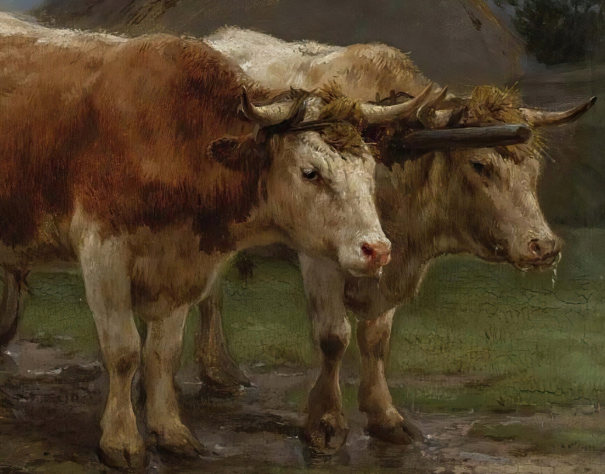 Oxen Pulling a Cart