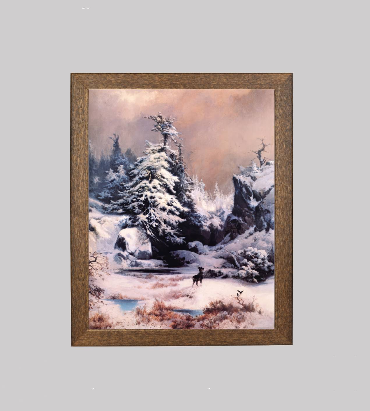 Winter in the Rockies