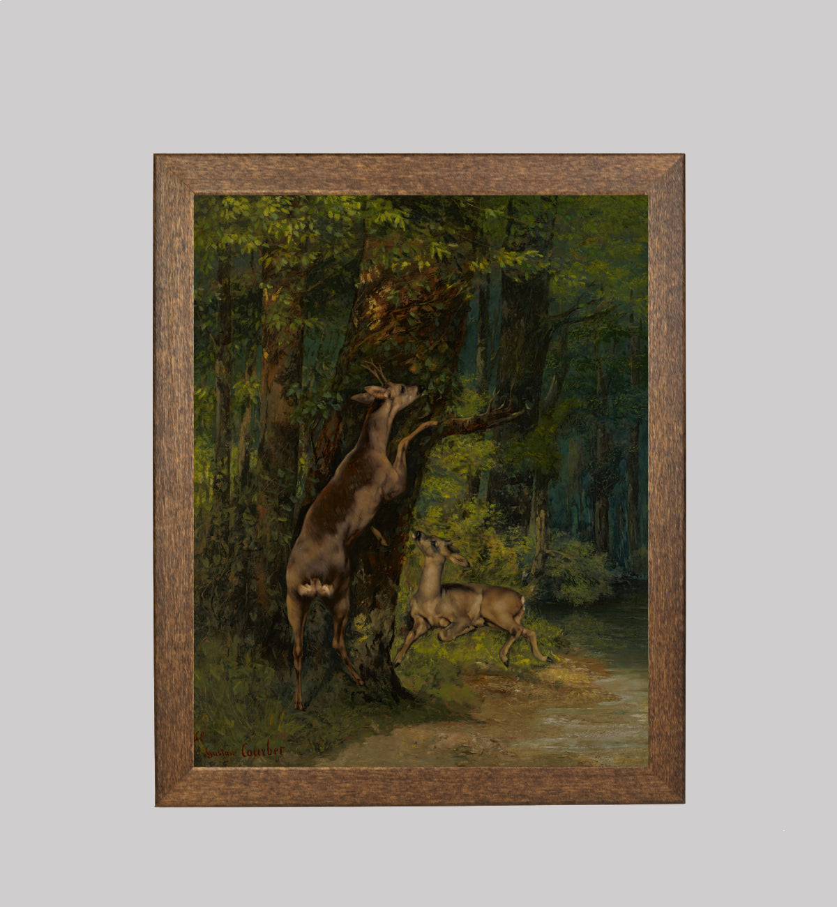 Deer in the Forest