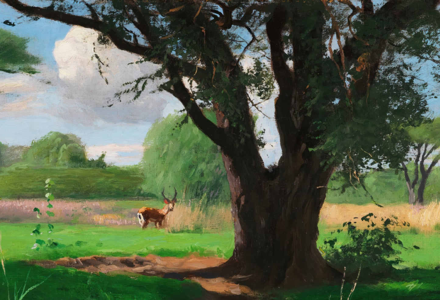 In the African Savannah