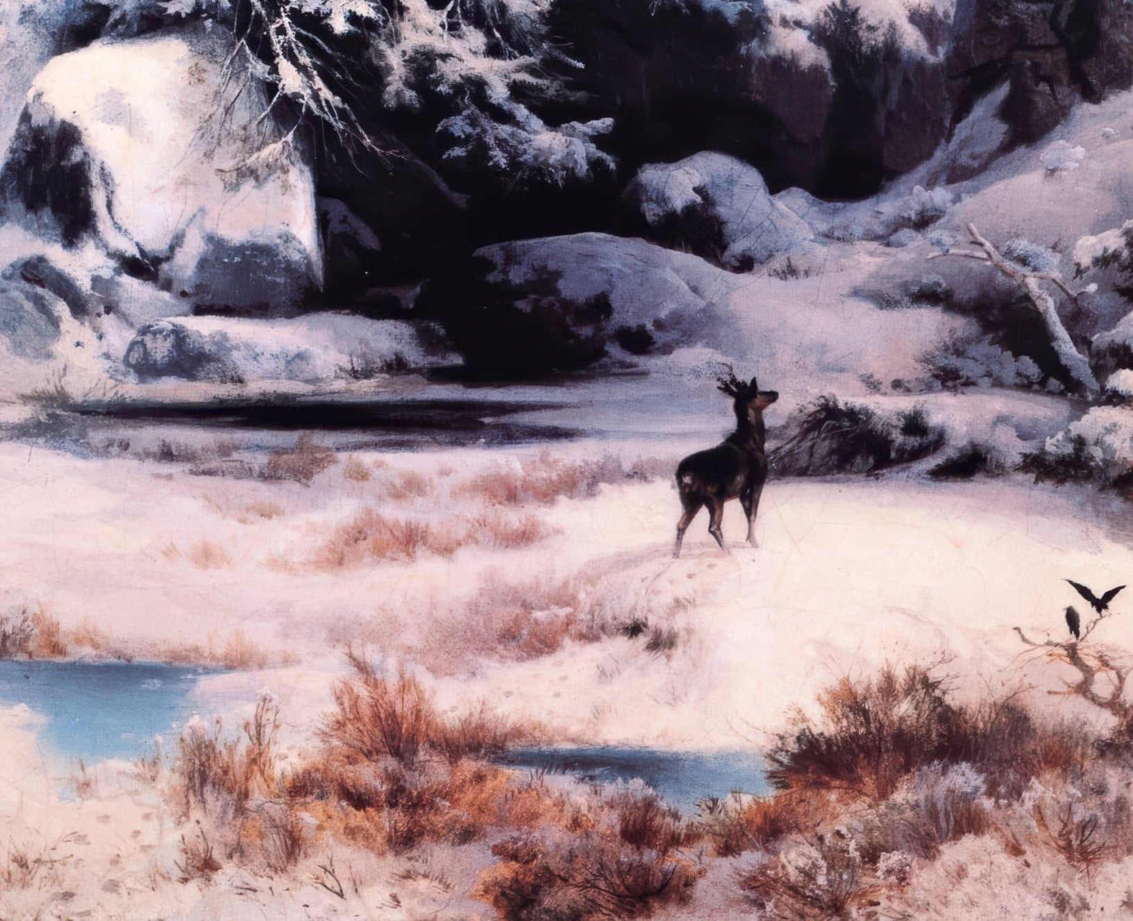 Winter in the Rockies