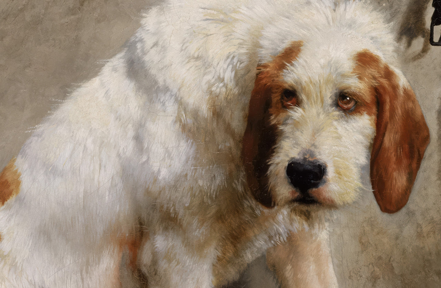 Barbaro After the Hunt