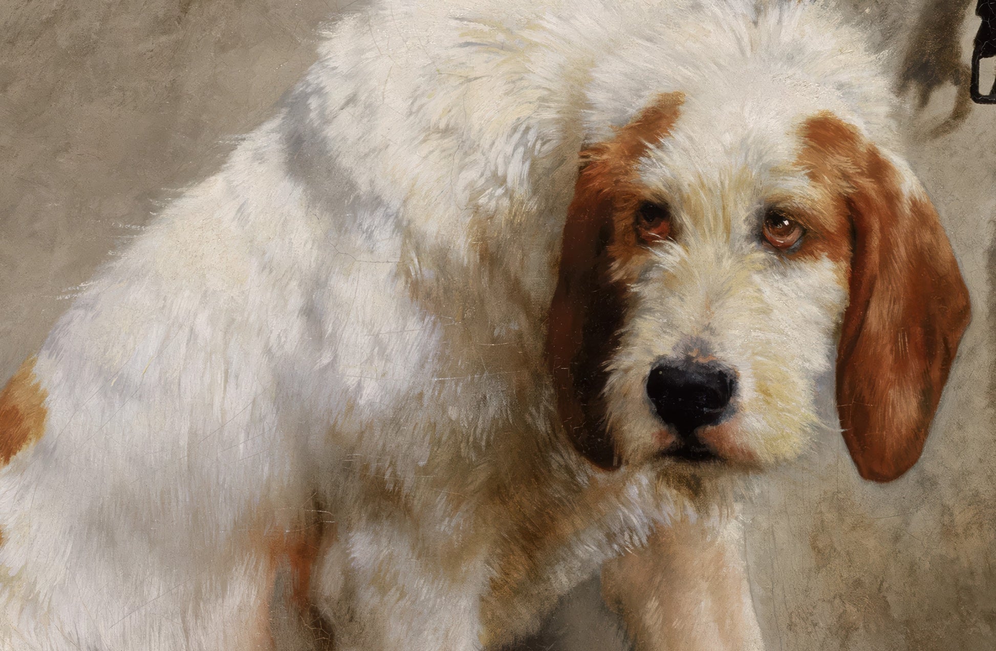 Barbaro After the Hunt