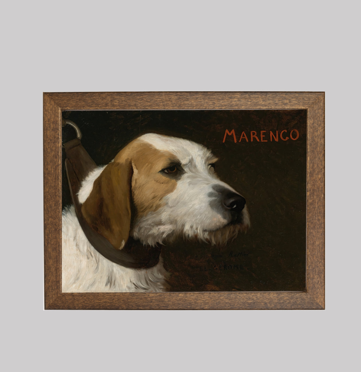 Marengo