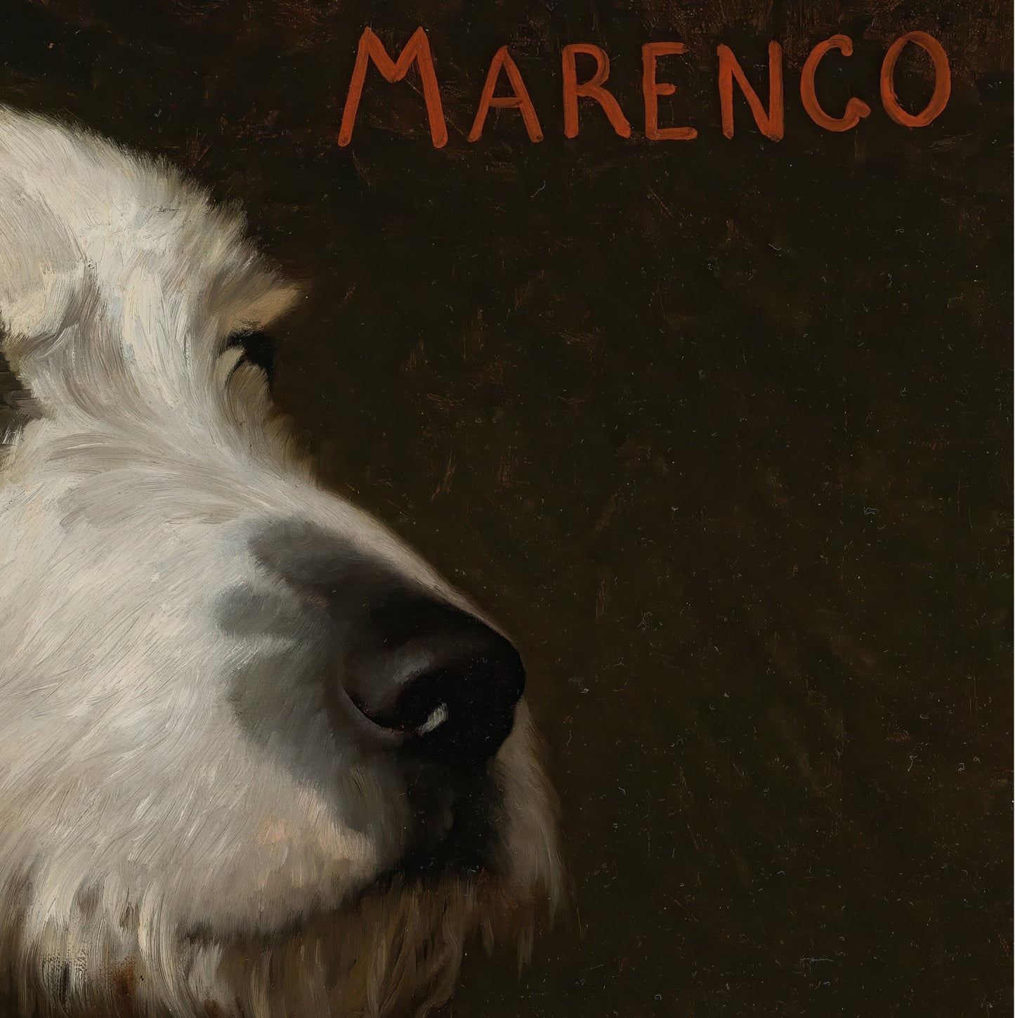 Marengo
