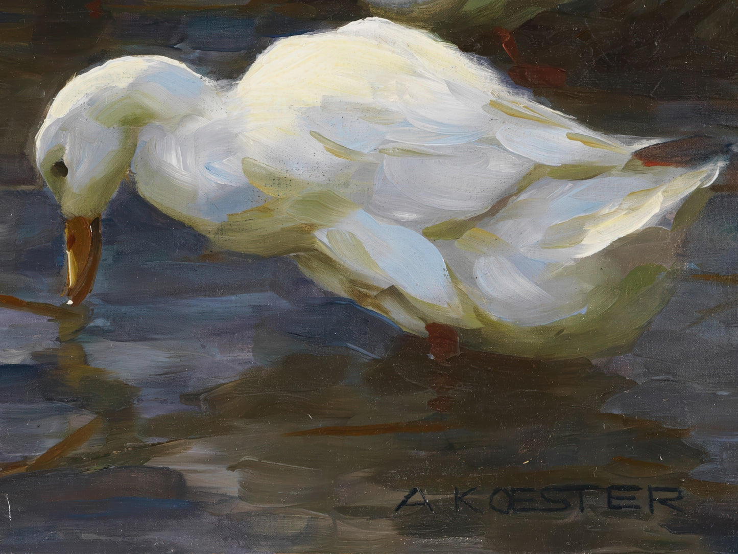 Ducks on the Lakeshore