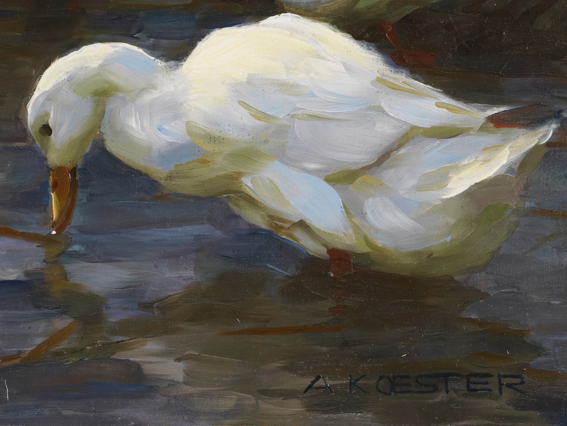 Ducks on the Lakeshore