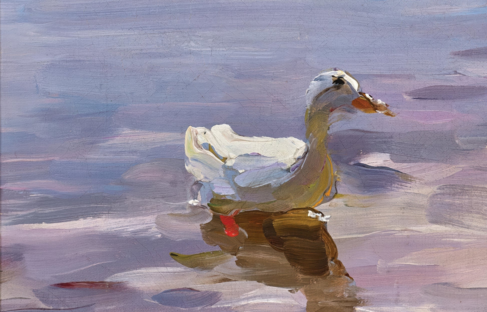 Ducks in the Lily Pond