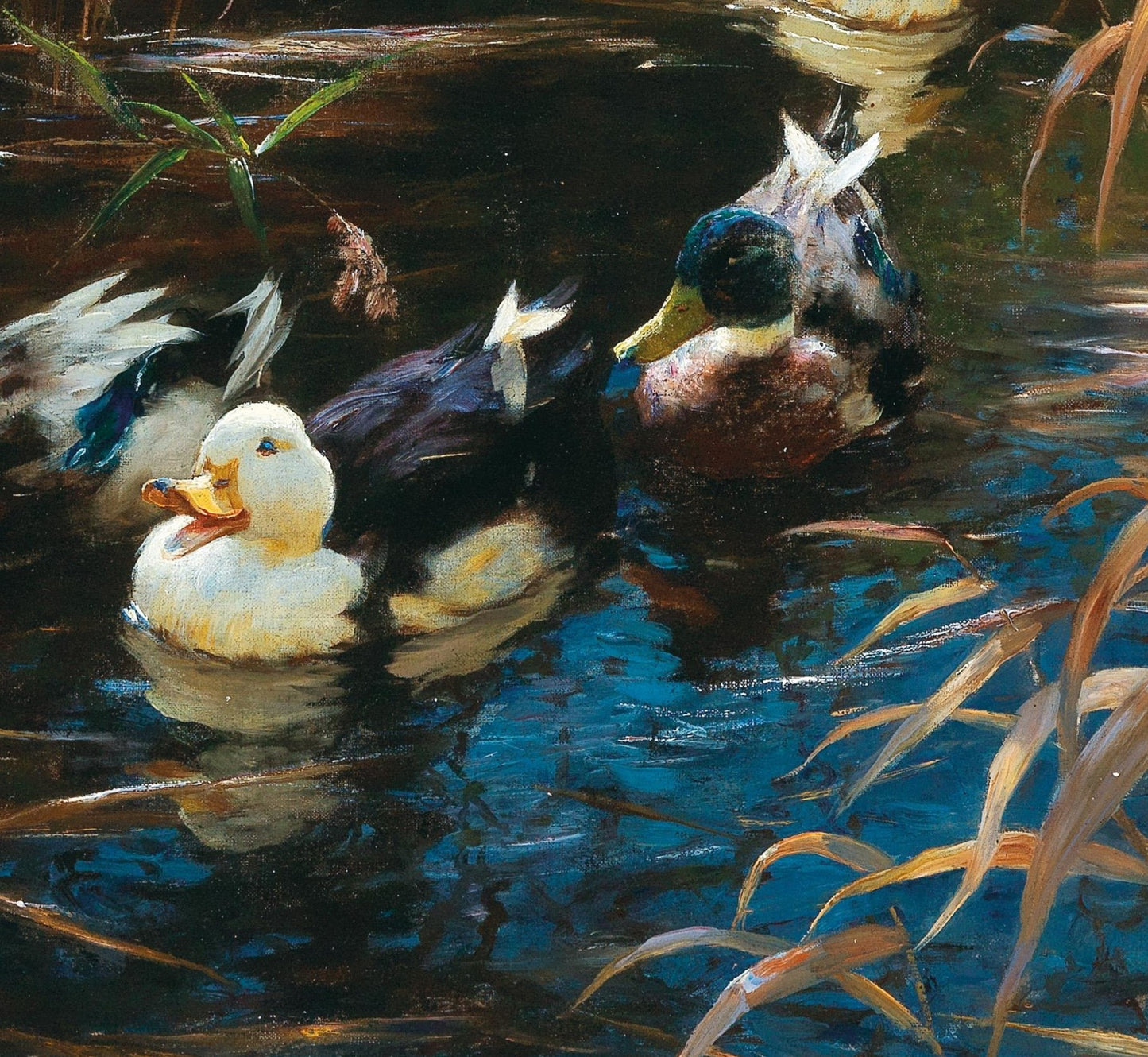 Ducks in Autumn Reeds