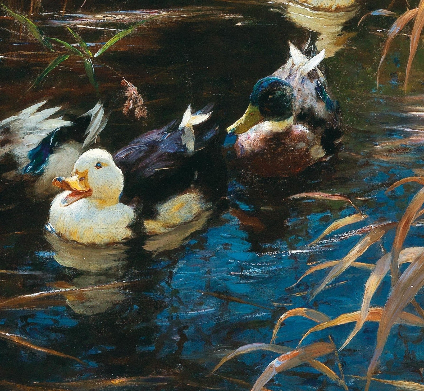 Ducks in Autumn Reeds