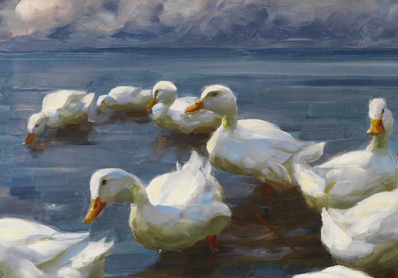 Ducks on the Lakeshore