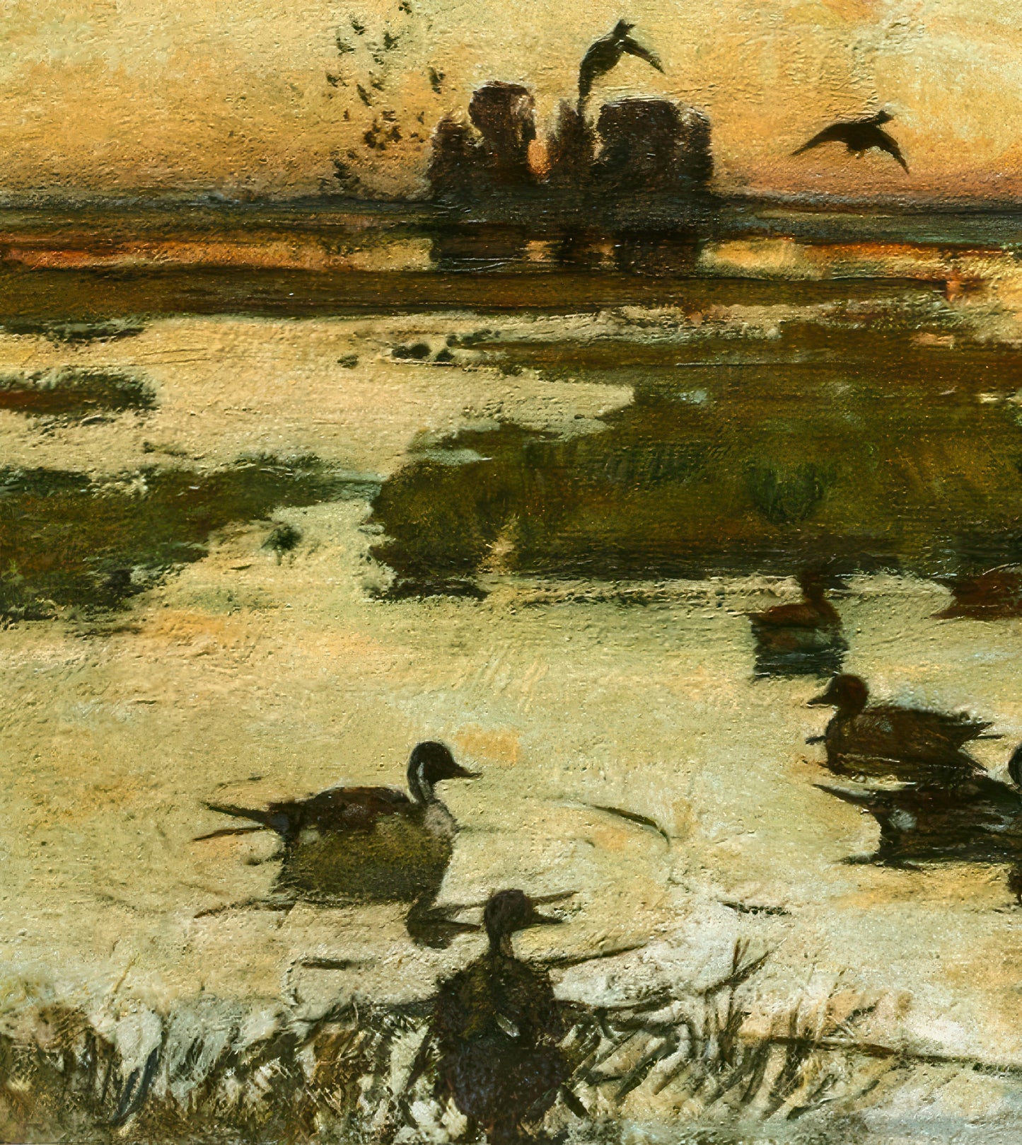The Duck Marsh