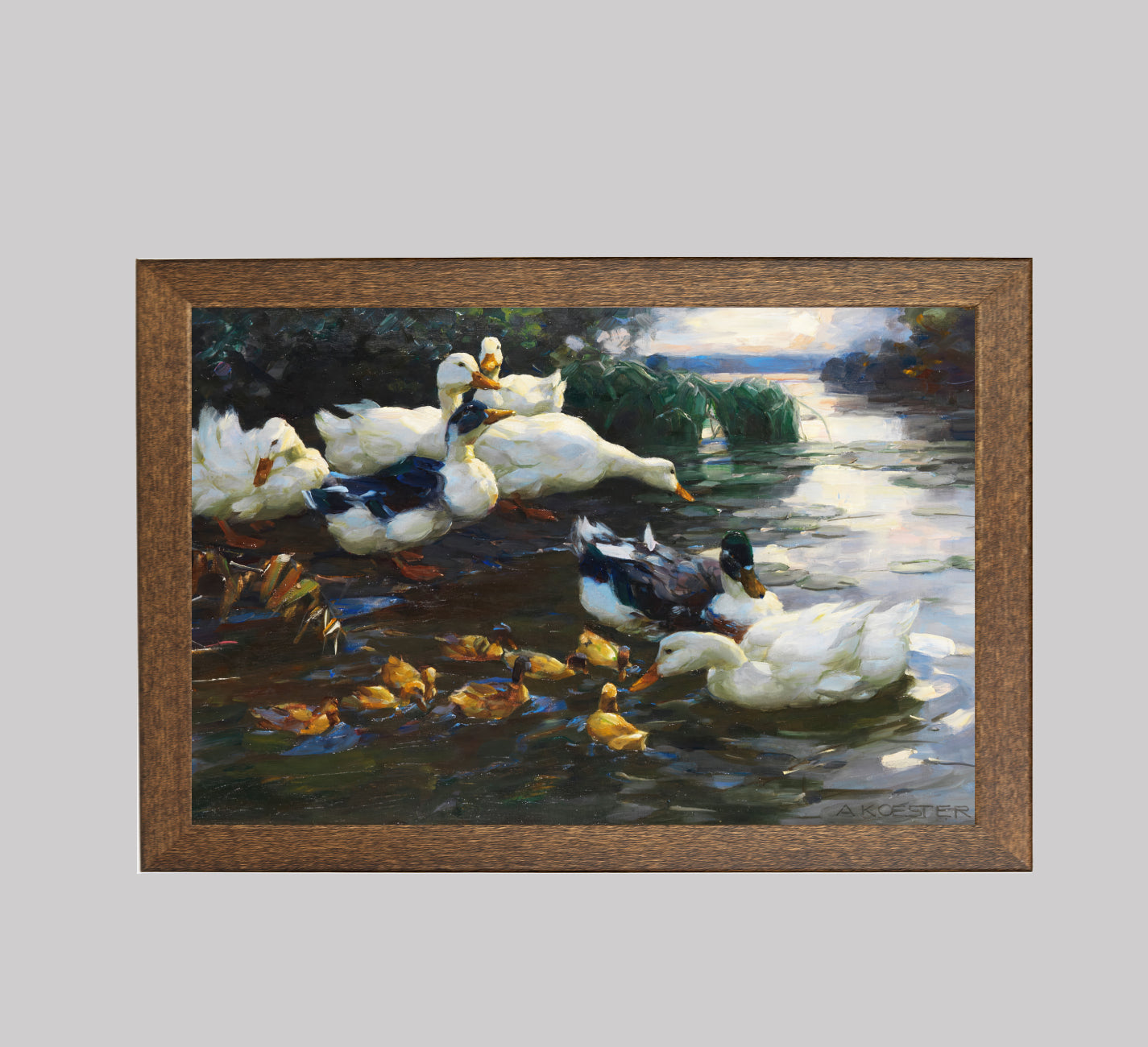 Ducks with Chicks in the Water