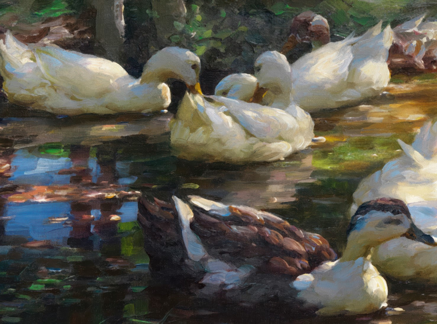 Seven Ducks in a Shady Pond