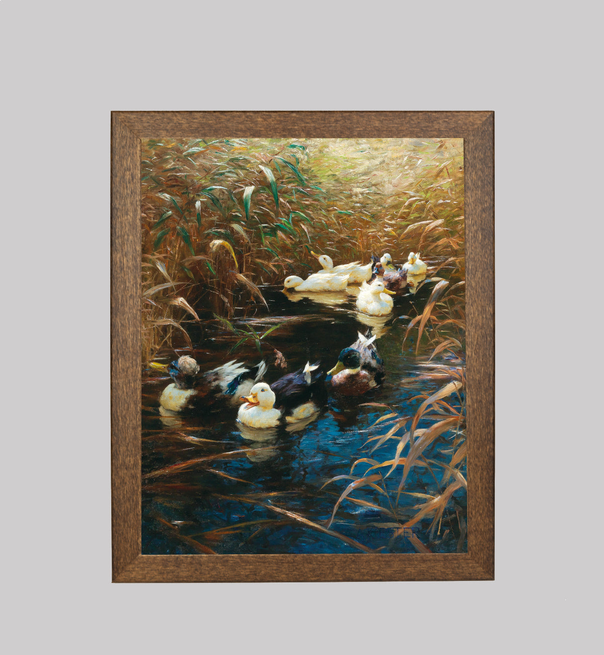 Ducks in Autumn Reeds