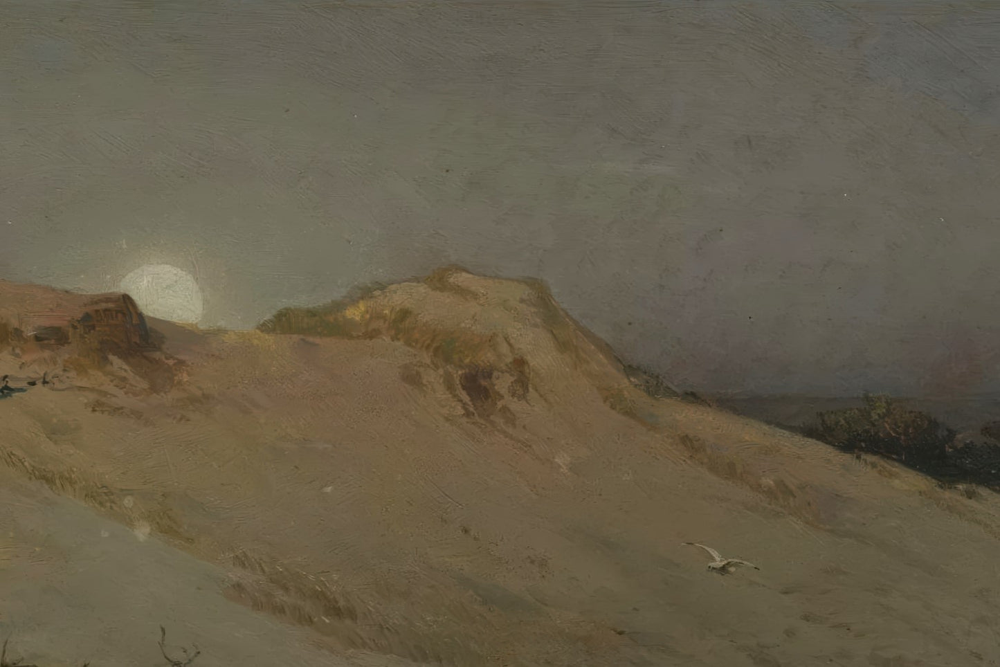 Moonrise over the Dunes