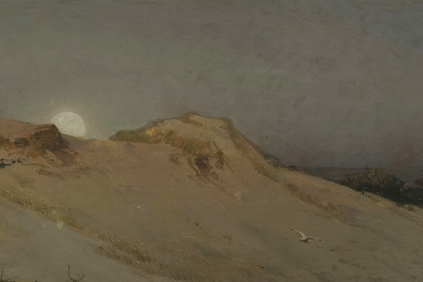 Moonrise over the Dunes