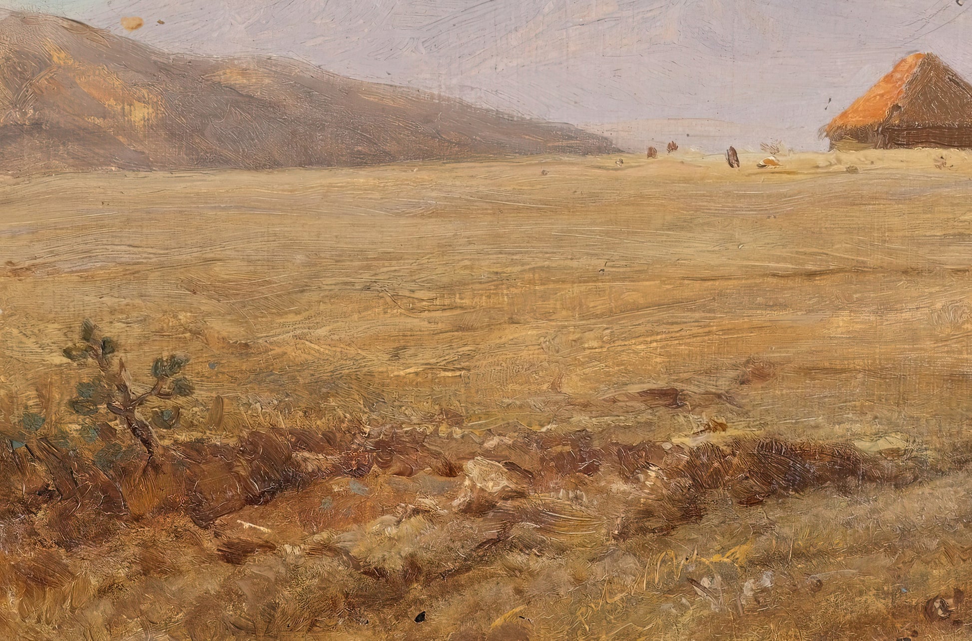 Ecuador, Mountain Plateau with a Hut