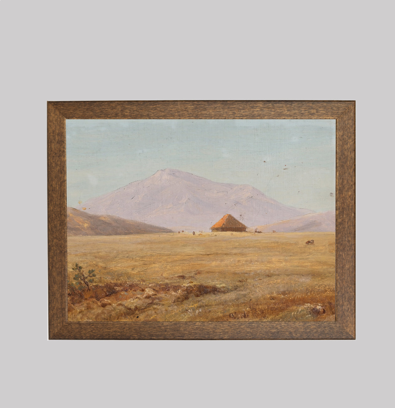 Ecuador, Mountain Plateau with a Hut