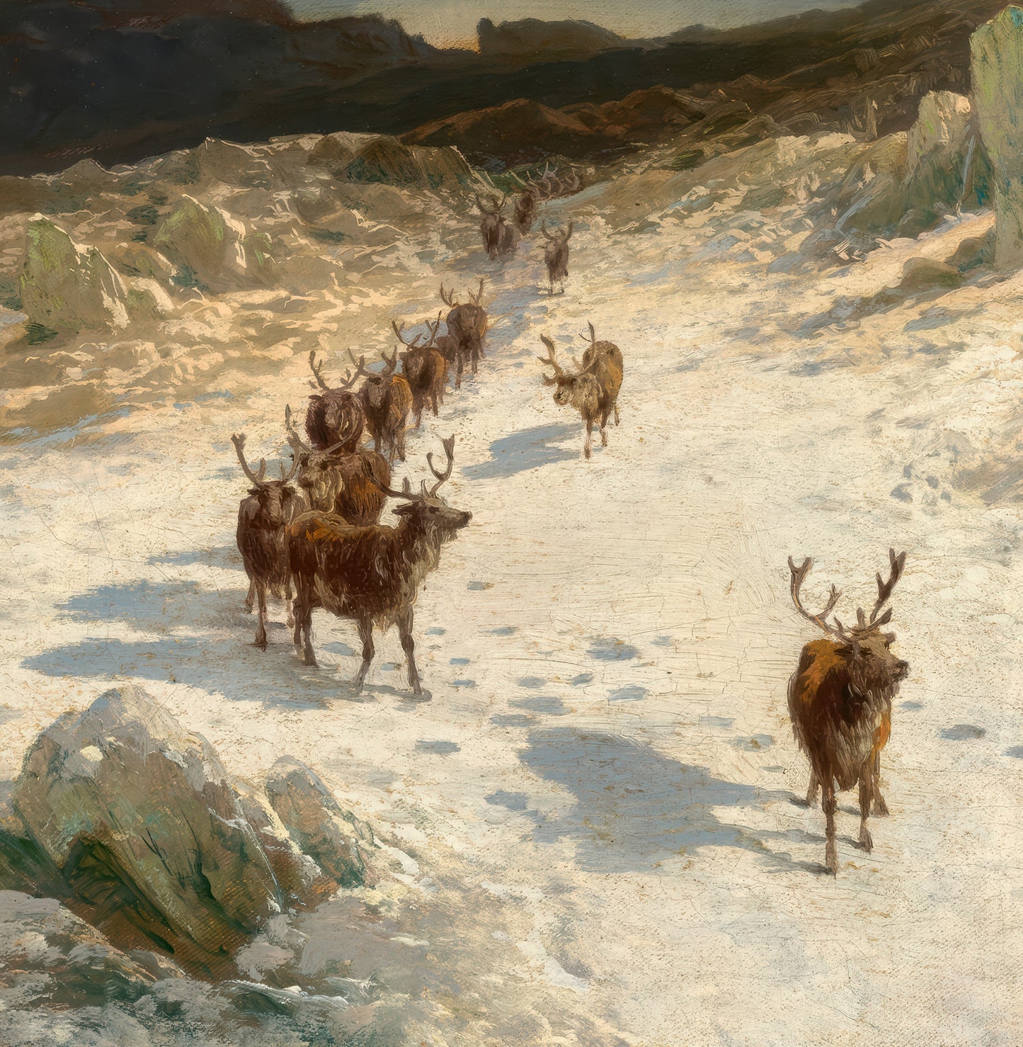 Caribou in the Mountains