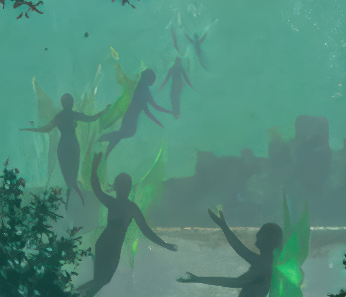 Fairies and Full Moon