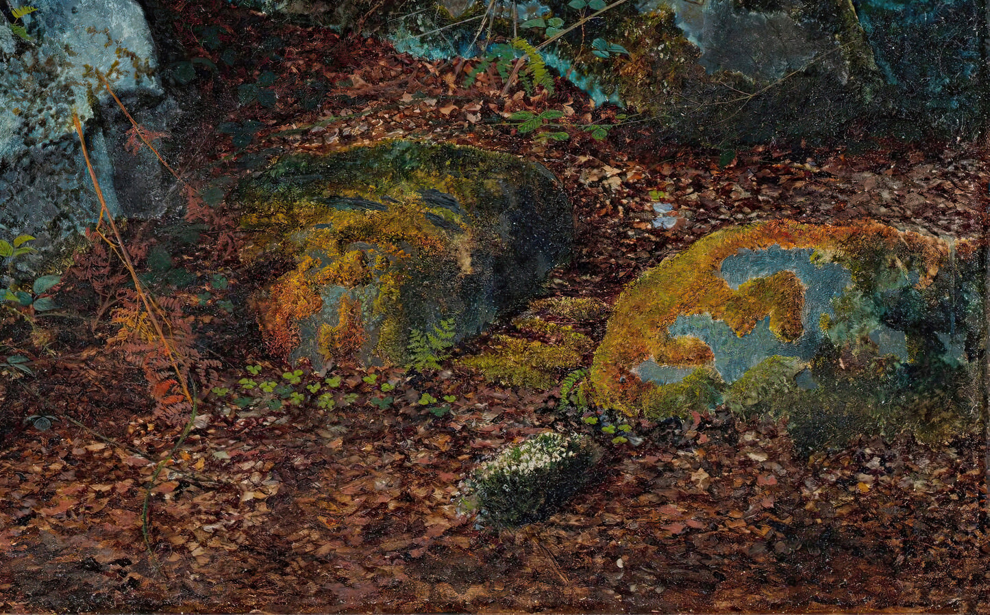 Baulders in Storstforth Wood