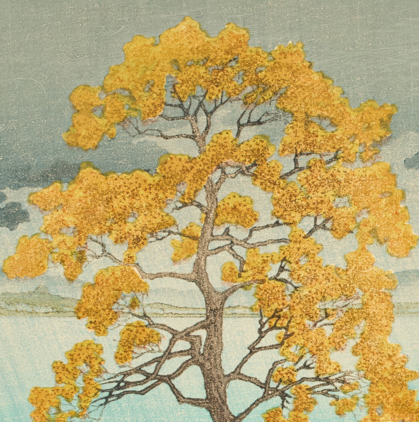 Lakeside Shower, Matsue