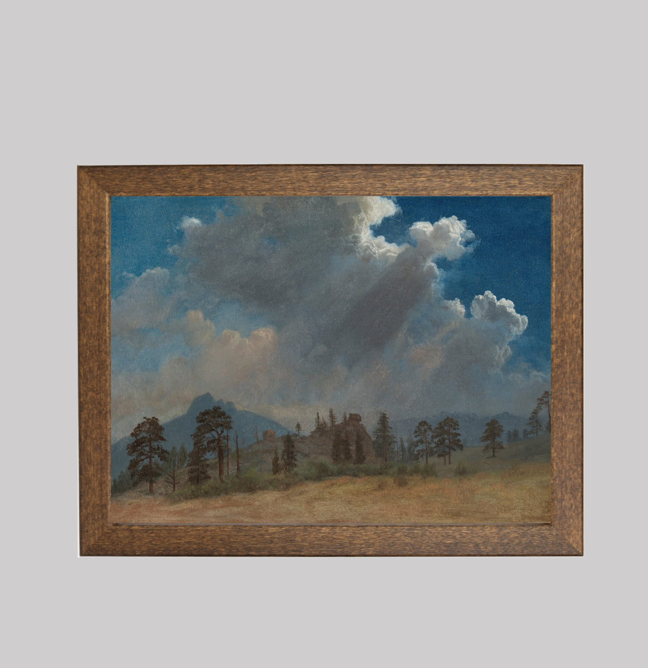 Fir Trees and Storm Clouds