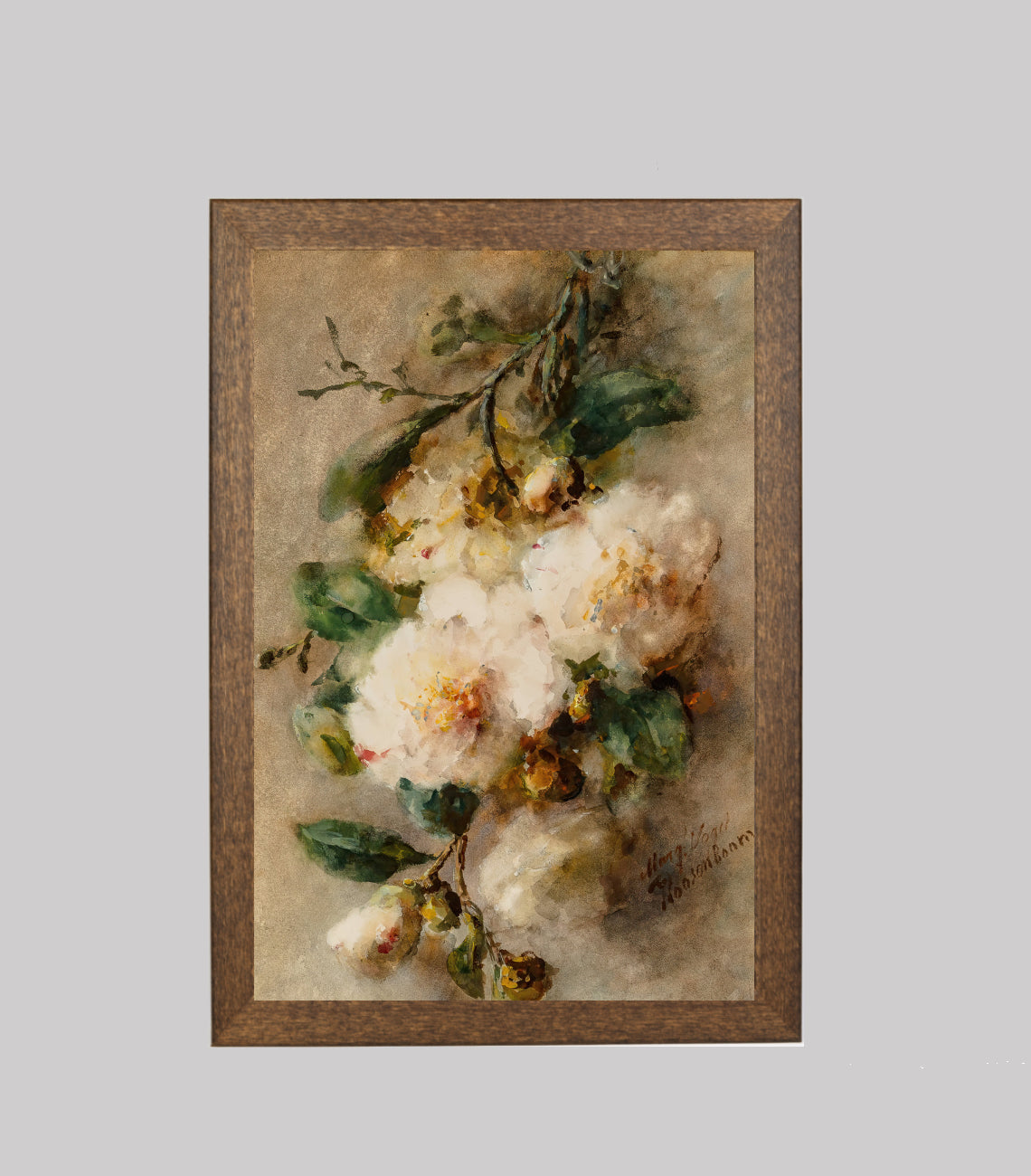 A Spray of Camelias Hanging from a Nail