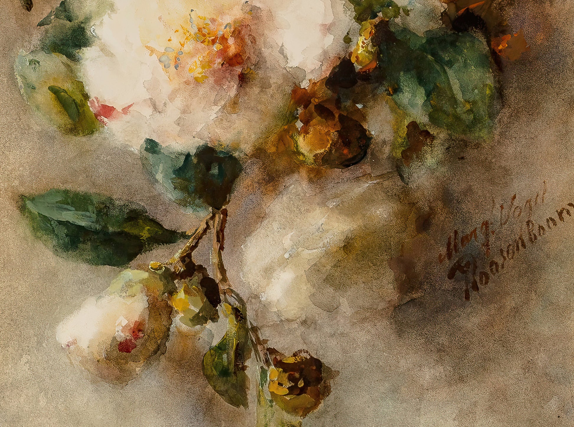 A Spray of Camelias Hanging from a Nail